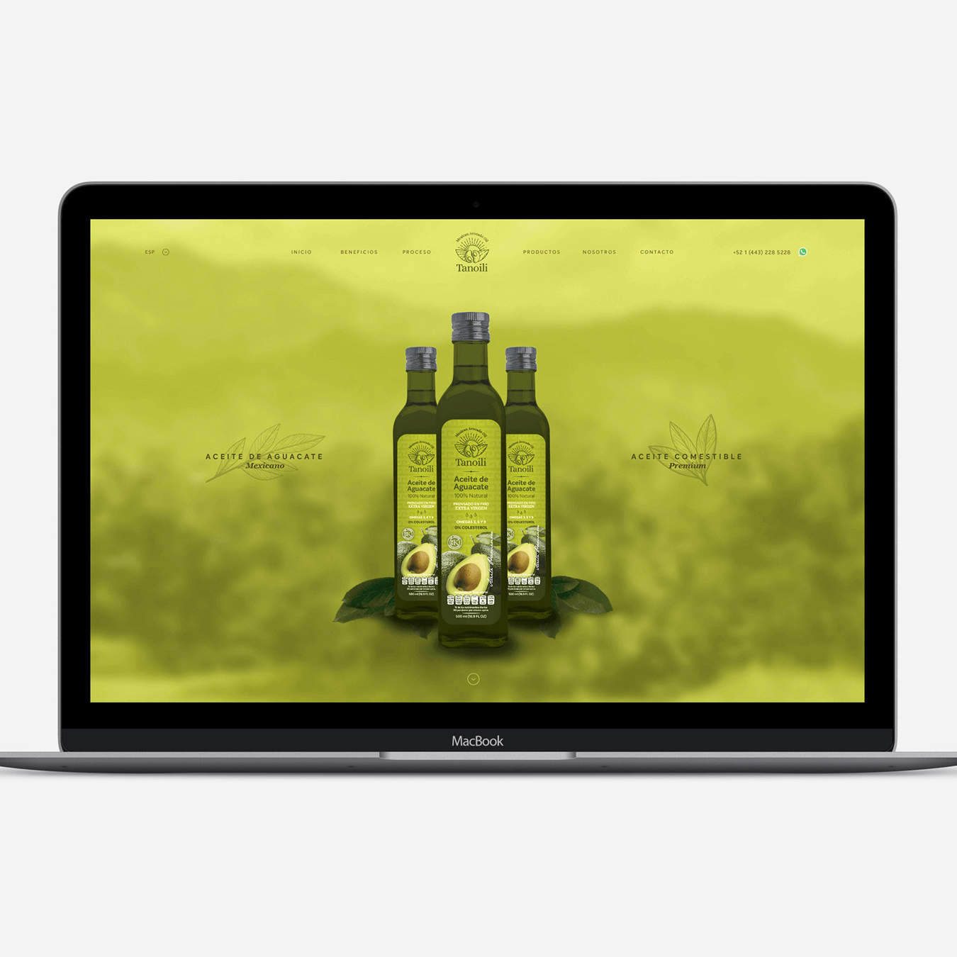 Project Lyonn - tanoili Hero